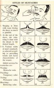 10e338e8d3b55e1f76f98d93067f1e21