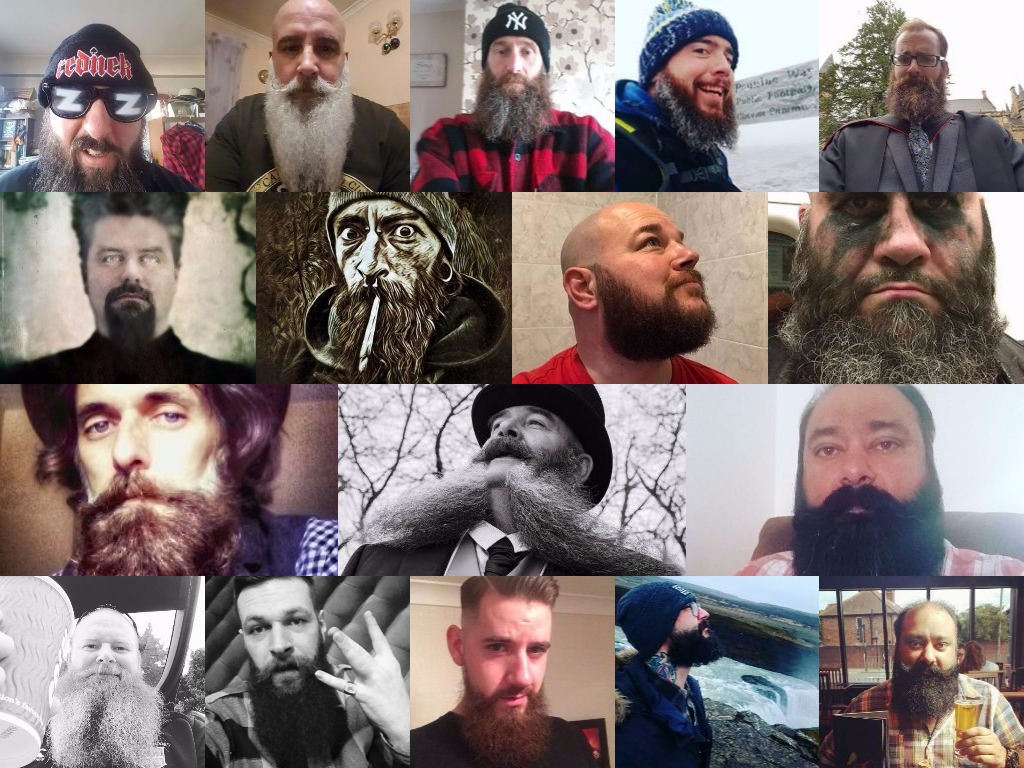 collage-2017-02-05-1