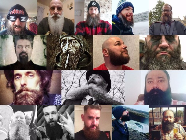 collage-2017-02-05-1